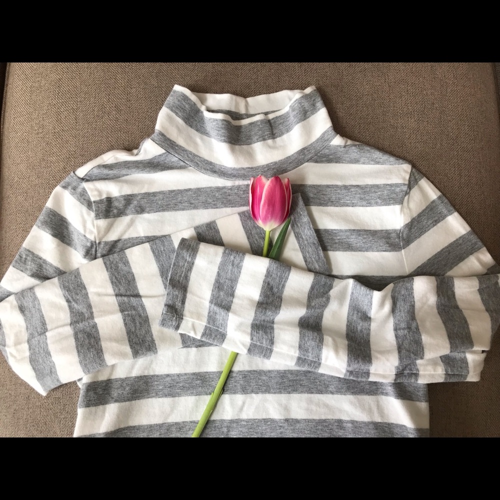 Talbots long sleeve mock neck cotton T shirt